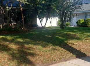 Aaron W.'s turf maintenance service result