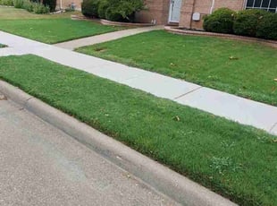 Nick M.'s grass cutting service result