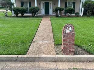 Dinesh D.'s lawn service service result