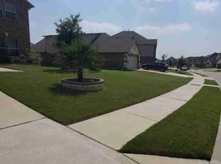 Katie R.'s lawn maintenance service result