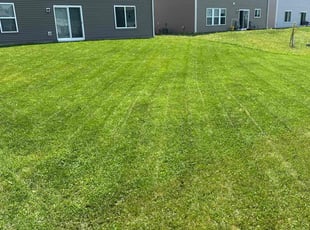 Mmesoma A.'s lawn service service result