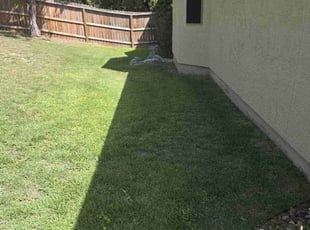 Susan H.'s turf care service result