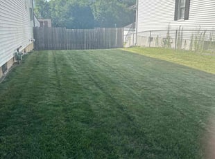 Brandon J.'s lawn care services service result