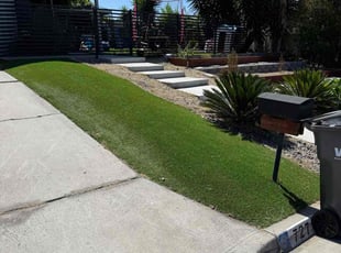 Frances Z.'s lawn service service result