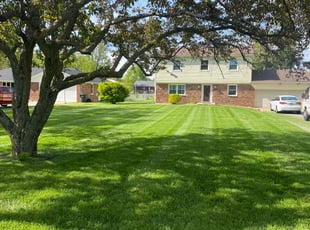 Kathy F.'s grass maintenance service result