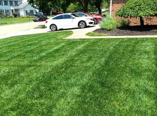 Mimi S.'s lawn care services service result