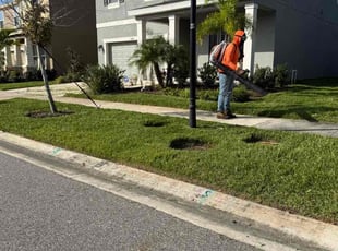 Andrea H.'s lawn maintenance service result