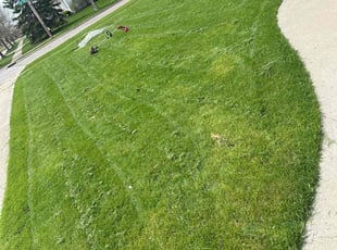 Cynthia K.'s lawn service service result