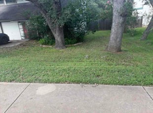 Sherman K.'s lawn care service result