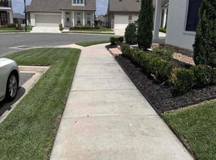 Dolores V.'s grass cutting service result