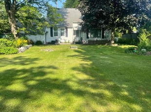 Angel S.'s grass cutting service result