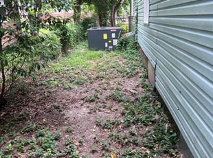 Tammy Y.'s Leaf Removal service result