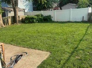 Annie T.'s turf care service result