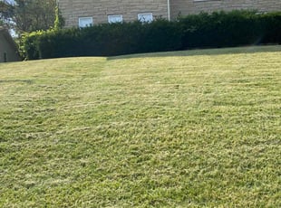 John M.'s turf care service result