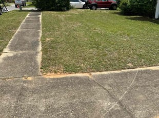 John D.'s Bush Trimming service result