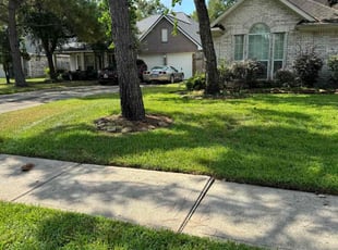 Cherise S.'s grass maintenance service result
