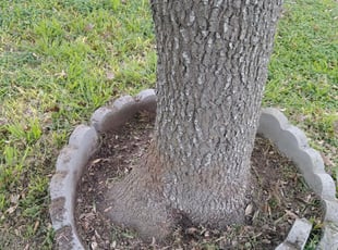 Stefanie O.'s Flower Bed Weeding service result