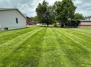 Dominic G.'s lawn service service result