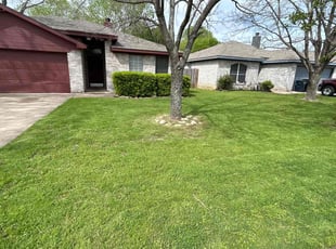 Burt S.'s lawn care service result
