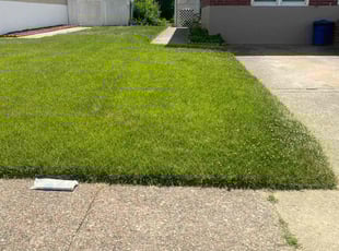 Reginald P.'s lawn maintenance service result