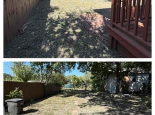 Tramel A.'s Long Grass Cleanup service result