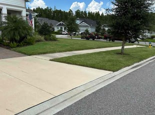 Mark C.'s grass cutting service result