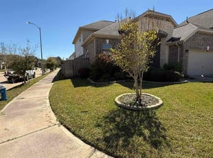 William T.'s lawn care service result