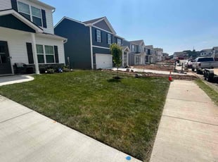 Bruce H.'s turf care service result
