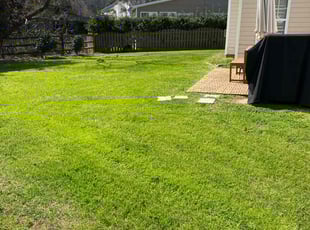 Mary B.'s grass cutting service result