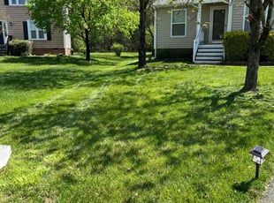 T.J. E.'s lawn care service result
