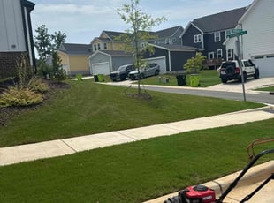 Michelle R.'s turf maintenance service result