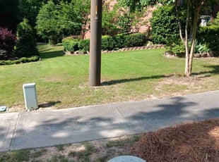 Antonio W.'s lawn care service result