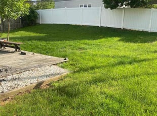 Peter D.'s lawn service service result