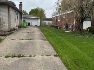 Hui L.'s Long Grass Cleanup service result