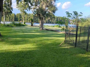 Nollie R.'s turf care service result