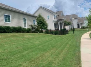 Joseph P.'s turf care service result