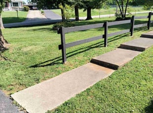 Carol D.'s turf care service result