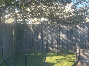 Sharon R.'s Tree Trimming service result