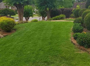 Tiffany P.'s lawn service service result