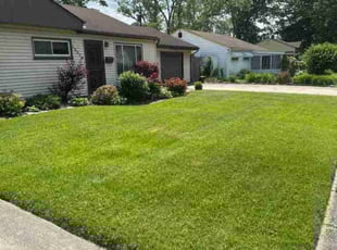 Valerie M.'s lawn care service result