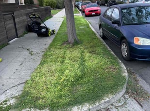 Jean H.'s lawn maintenance service result