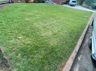 Nedda B.'s lawn service service result