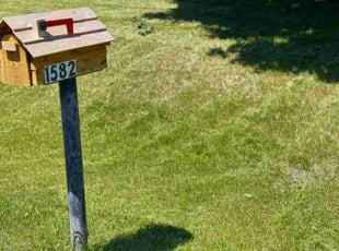 Tori B.'s lawn care services service result