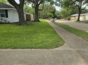 Steven C.'s grass maintenance service result