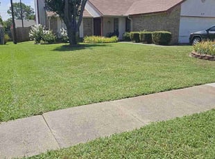 Ranet H.'s grass cutting service result