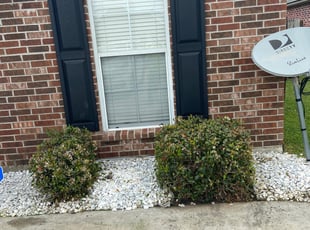 Donald C.'s Bush Trimming service result