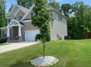 Brenda S.'s lawn care services service result