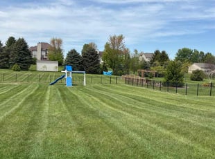 Jack B.'s grass maintenance service result