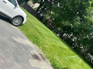 Logan M.'s grass maintenance service result