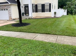 Daniel E.'s lawn service service result